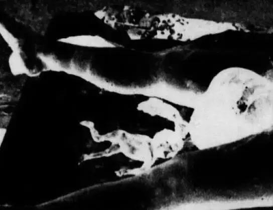 人死后有诈尸的吗,慈禧太后死后诈尸是真的吗