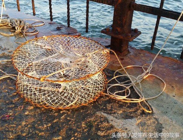 各种办法抓螃蟹,怎样才能轻松抓到螃蟹