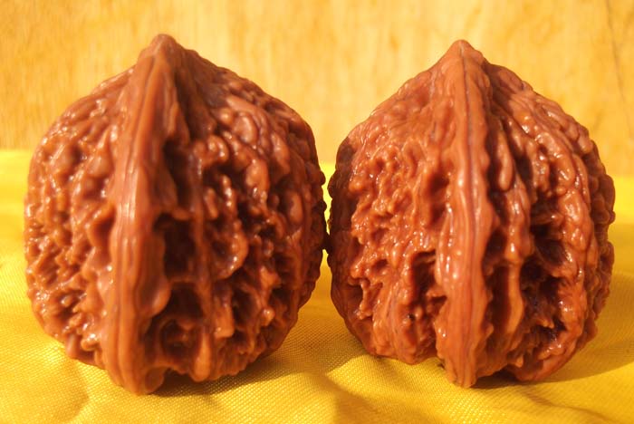 玩核桃要玩全品吗,玩核桃经验分享