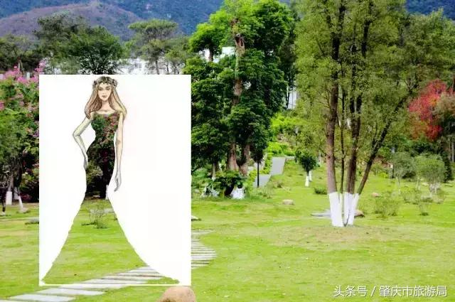 西大下了一场雨,美翻了整个肇庆!