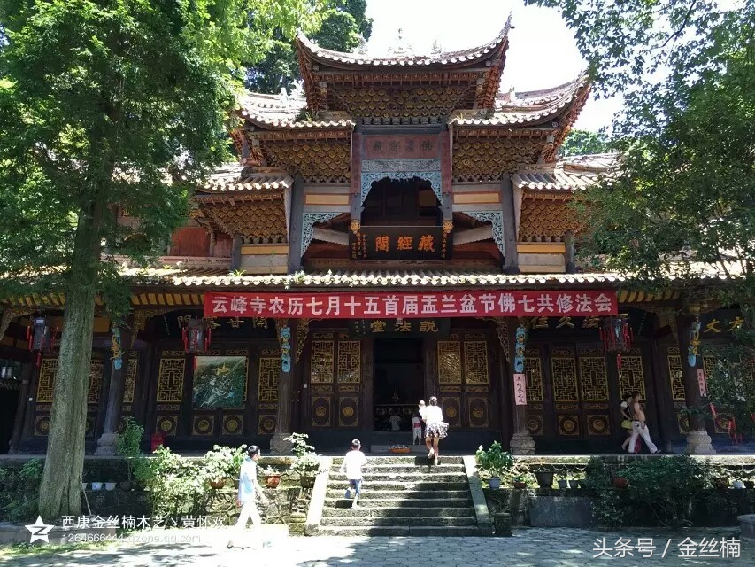 十大珍贵木材之金丝楠木,中国古老的三棵金丝楠木