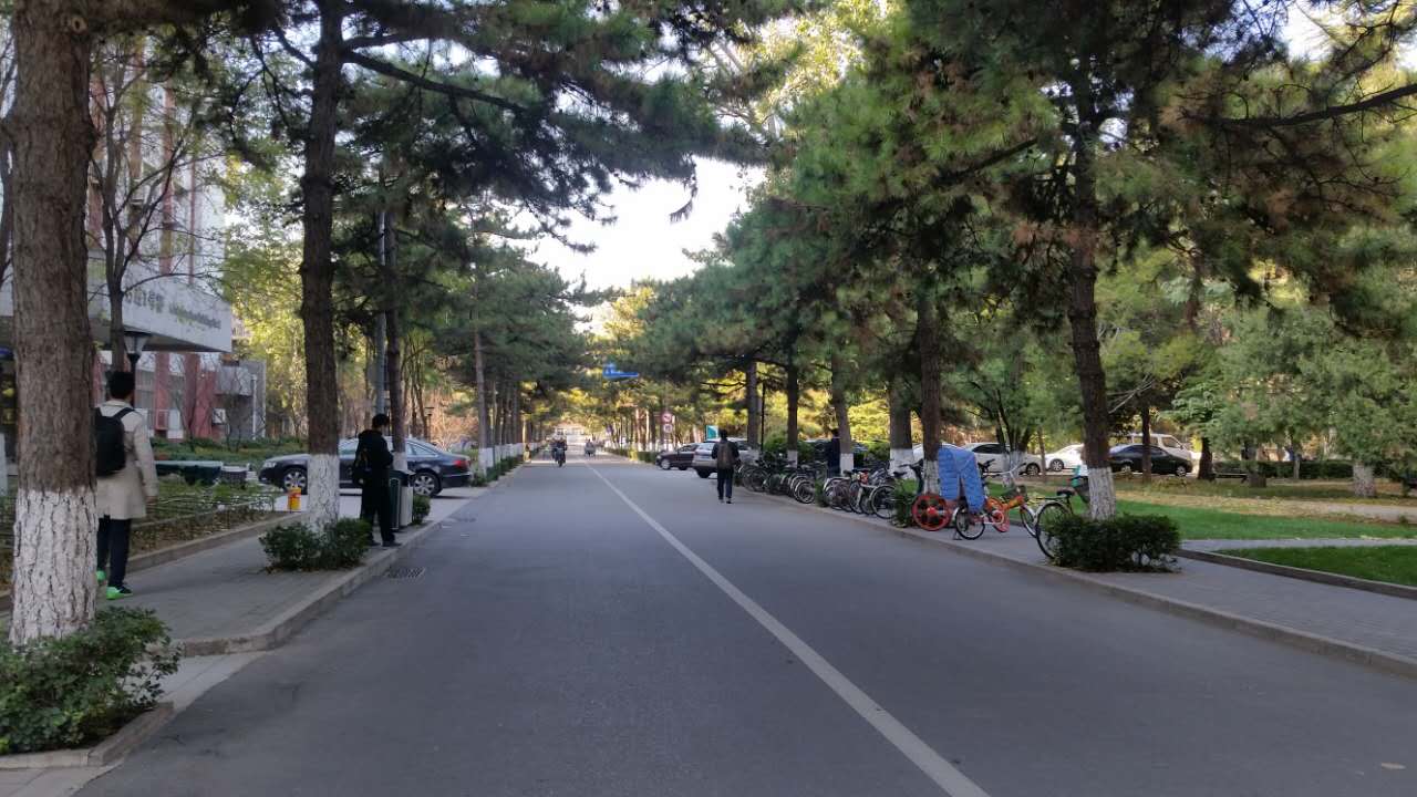 走进北师大,走进京师校园