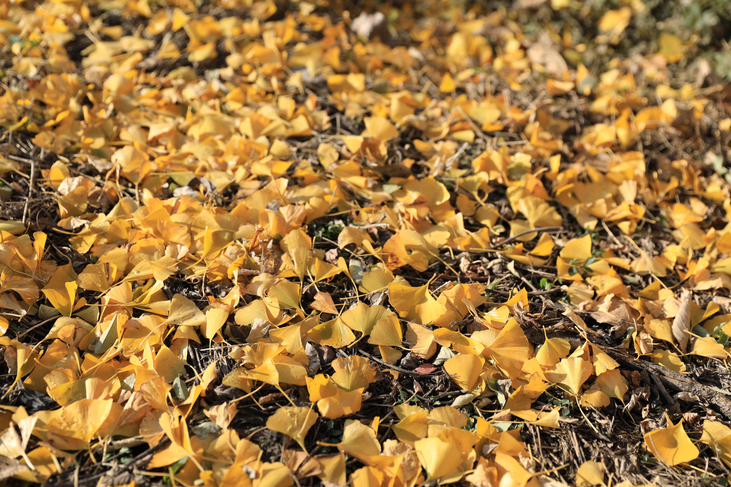 京郊自驾游好去处推荐蟒山,京郊水长城自驾游