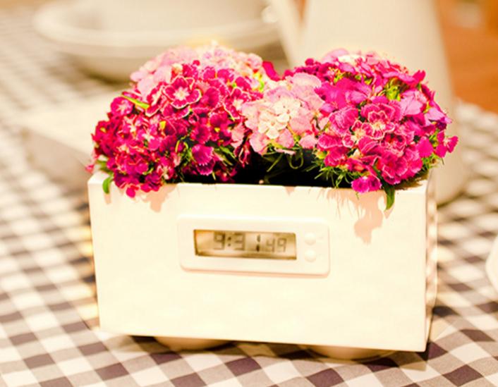 彻底告别植物杀手,告别植物杀手