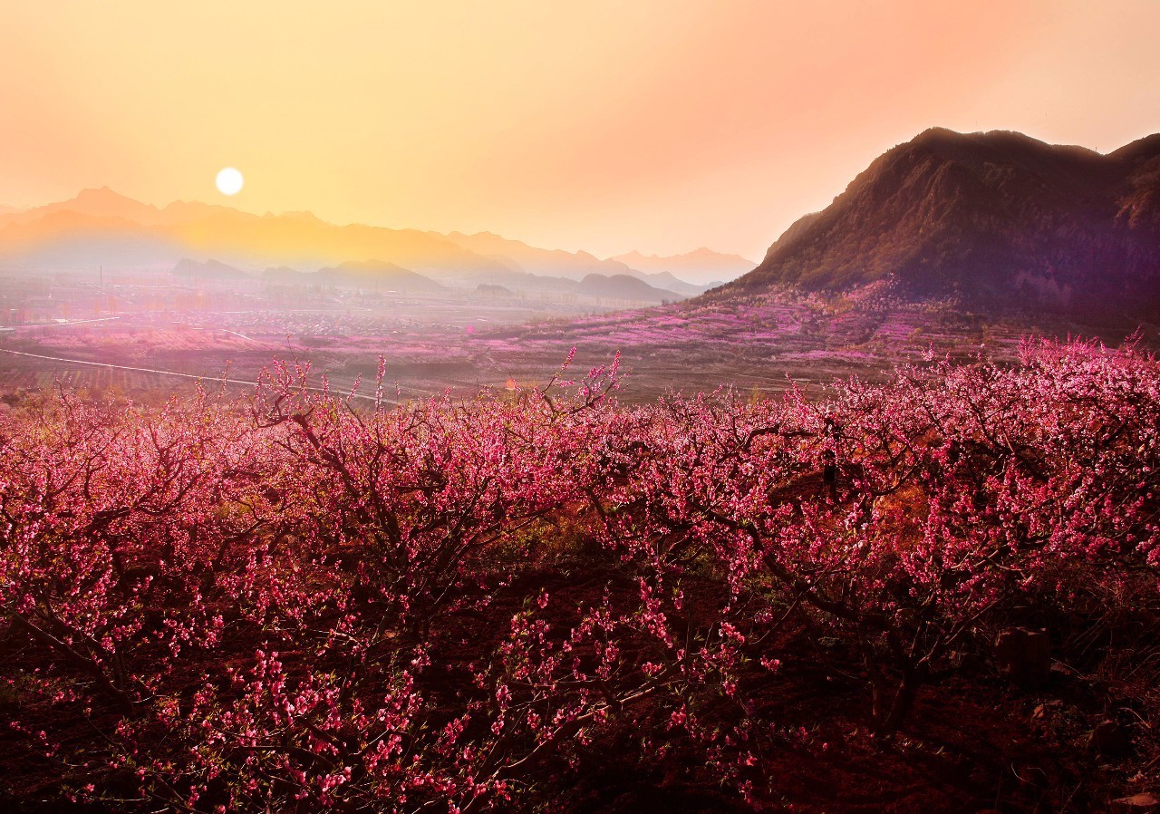 陶姓溯源迁徙图,陶姓的传说故事