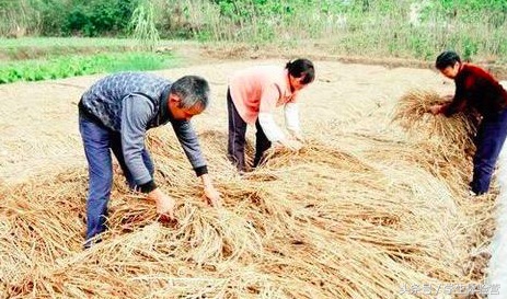 山东济南历下区景山小学,济南历下区景山小学教学质量