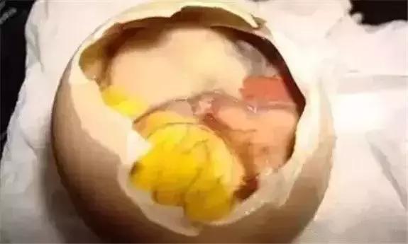 东北人的最爱,东北人的最爱东北大冻梨