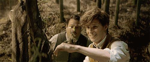 读了麻瓜麻鸡魔法入门，《神奇动物》会好看100倍