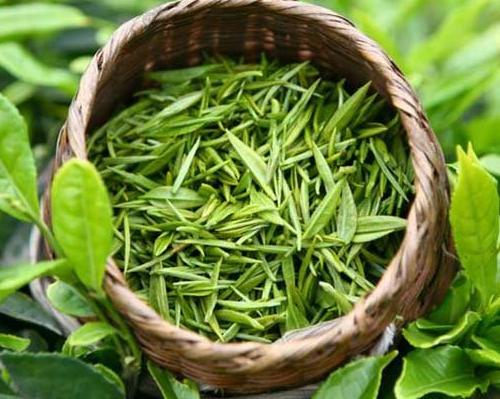 湿疹：皮肤瘙痒还难看，疗效茶方去烦忧