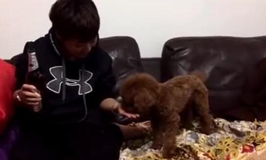 男子给小狗狗喝酒，狗狗的动作堪比济公！