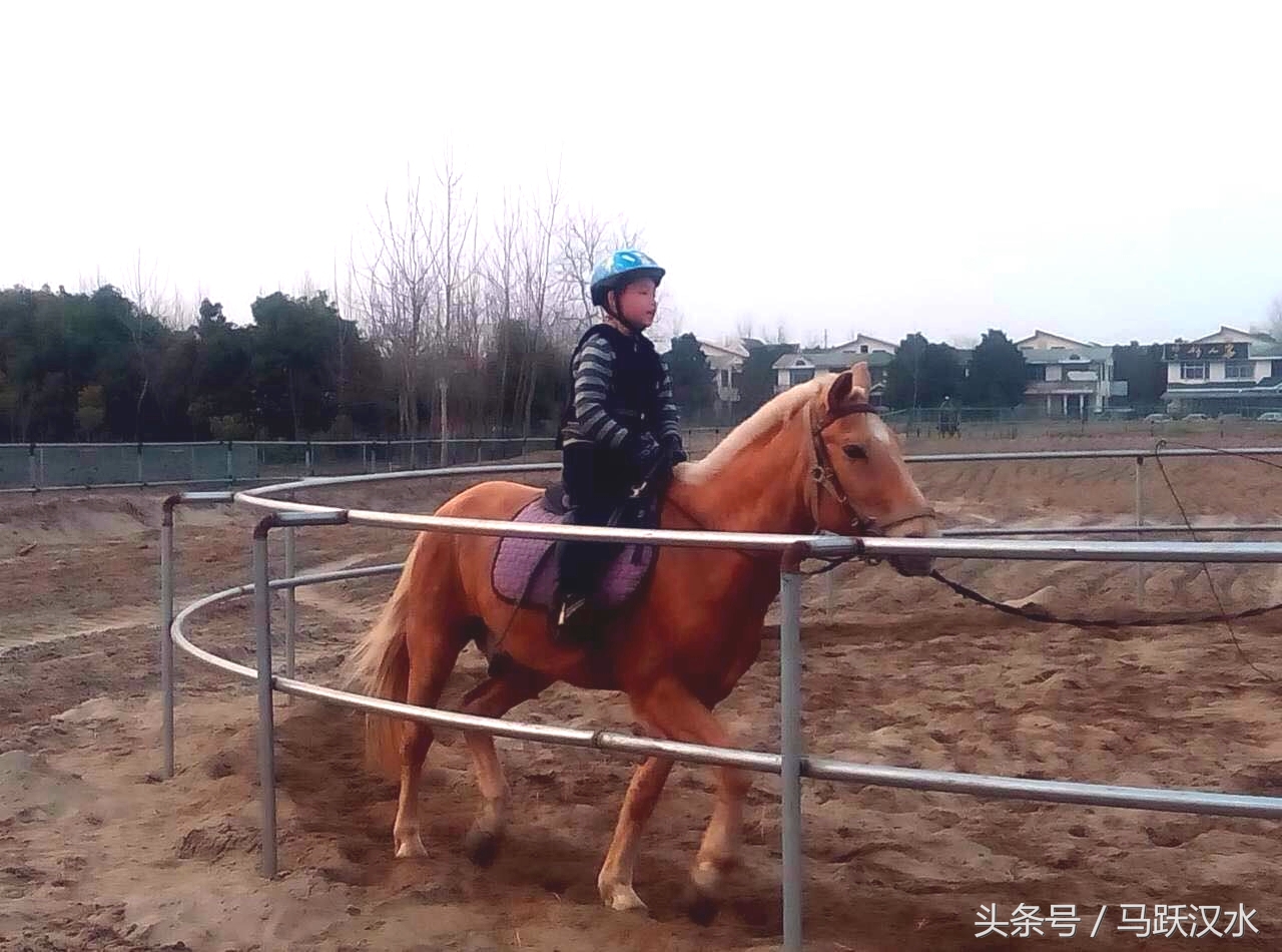 襄阳最小野骑手怎样练成(二)——上马术课