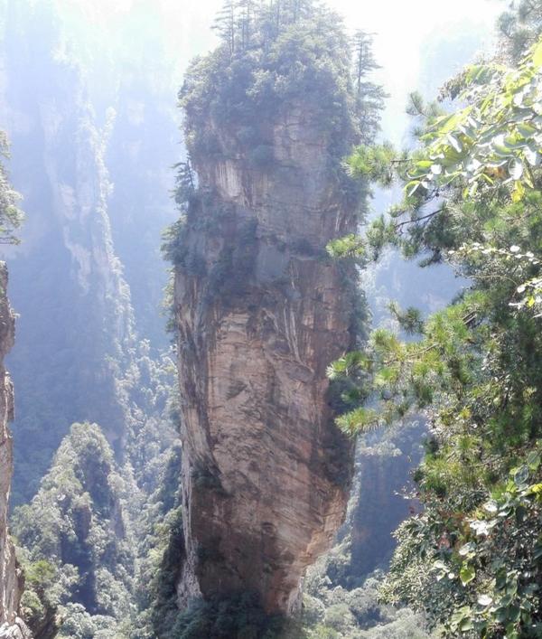 张家界优质导游,张家界良心好评导游