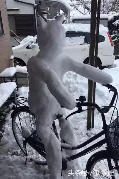 濮阳第一场雪是几号,濮阳哪一年5月份下的雪