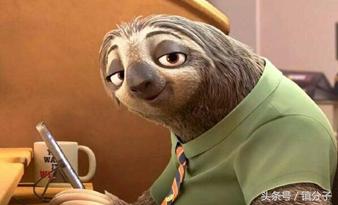 一本正经地说电商,电商辛酸史真实故事