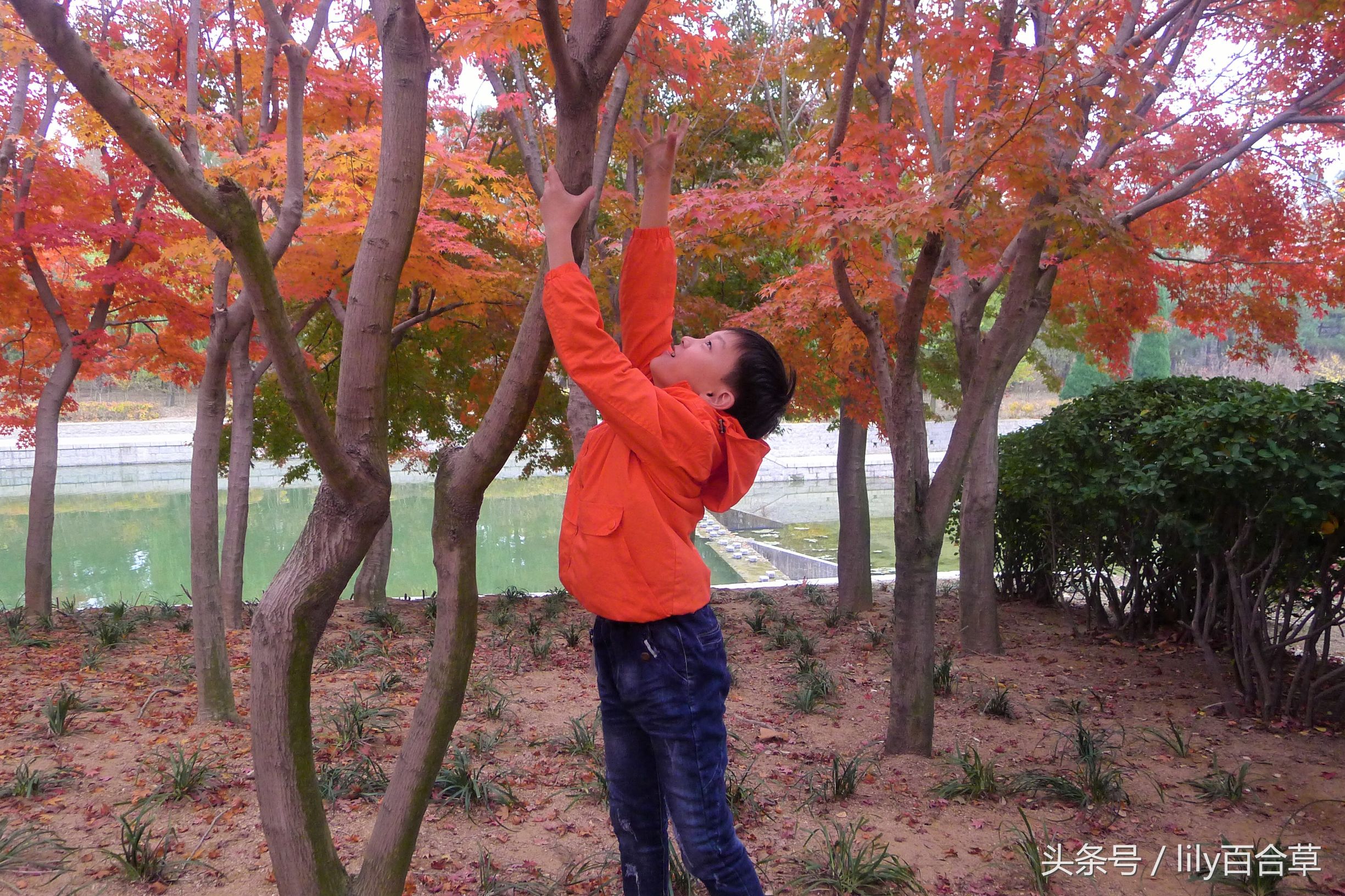鬼马少年完整版,鬼马少年系列