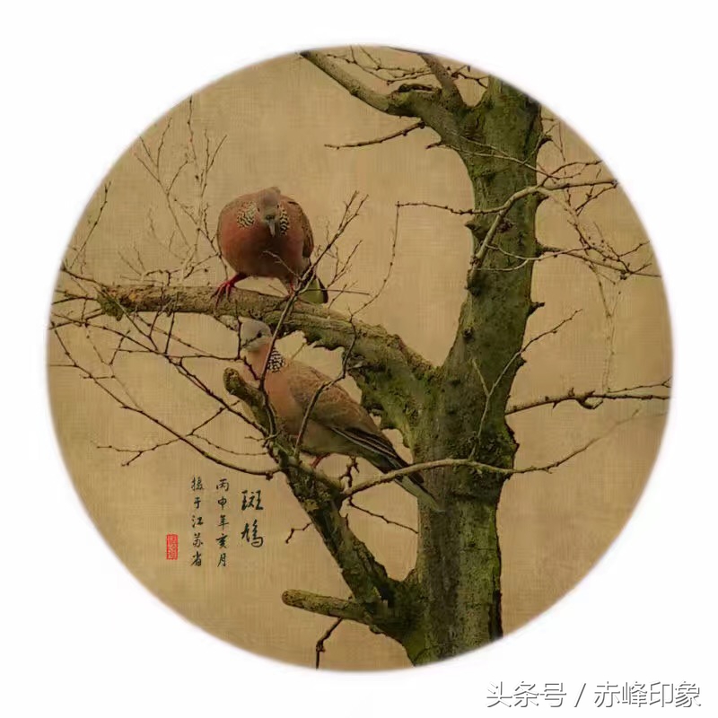 常闻摄影作品欣赏｜双鸟图