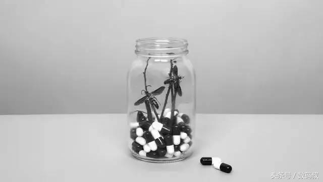 我等死等到一半时,一群蜜蜂蛰了我,救了我一命