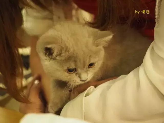 威海荣成海上时光,威海悠闲旅游