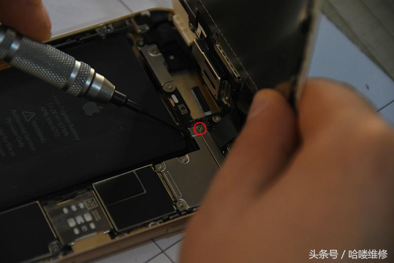 翻新捡来的iphone6s,iphone6怎么鉴别是不是翻新机