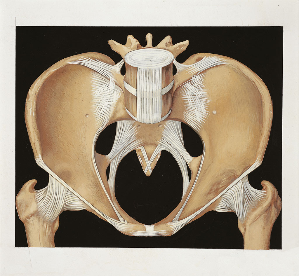 坐骨神经痛的手术治疗效果,臀肌挛缩手术损伤坐骨神经吗