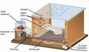心理罪2，要么自杀要么杀人，那方木怎么办