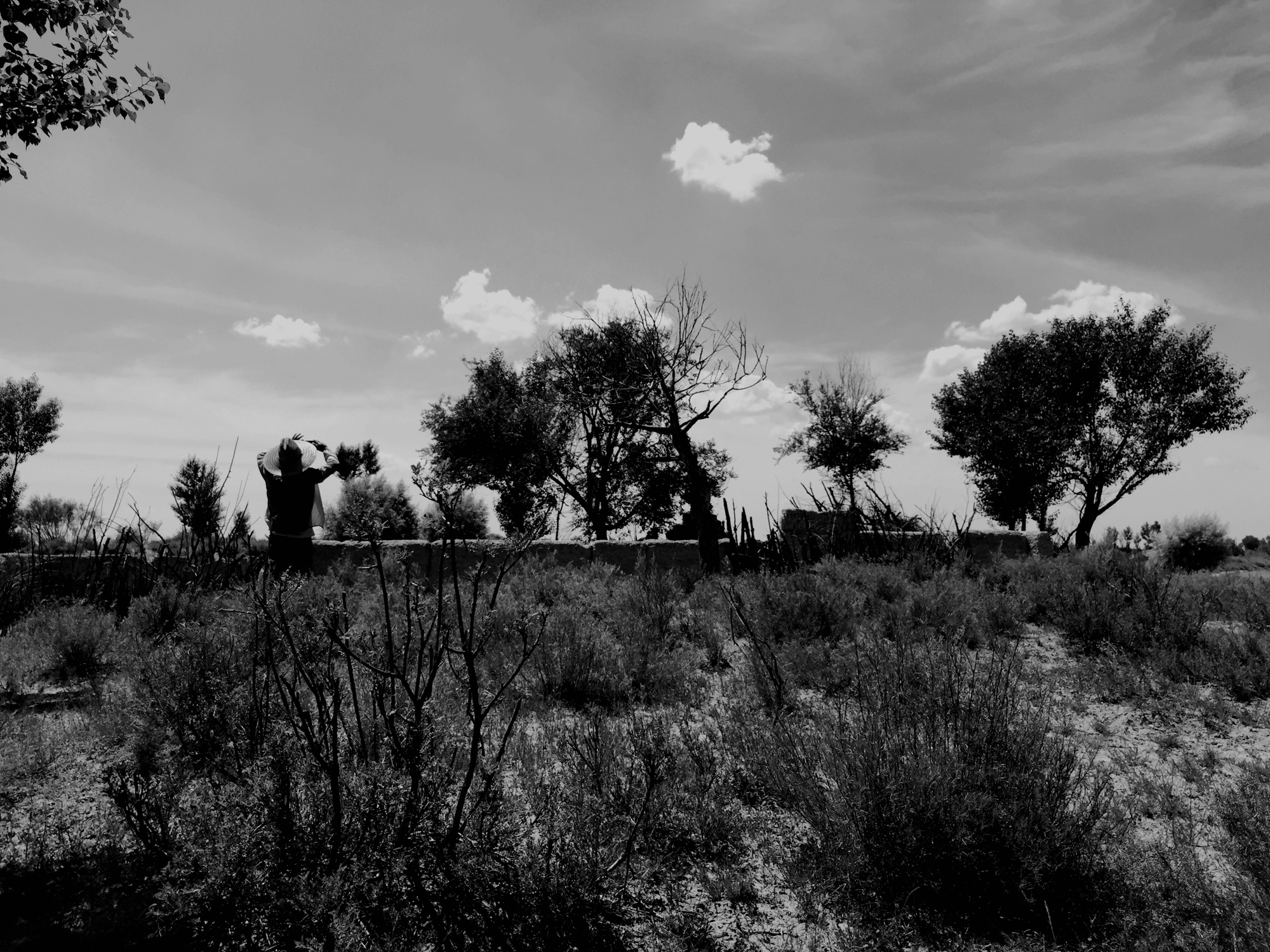 历史丨匈奴最后的遗址：废都统万城