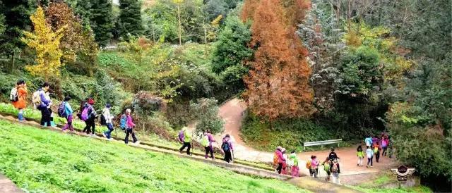 成都春季户外好去处,成都今年最火的地方在哪里