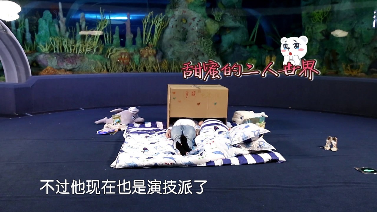 李菲儿金希澈表白视频,颖儿付辛博金希澈李菲儿