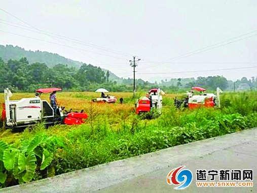 为农服务助农增收,助农扶贫超市相关政策