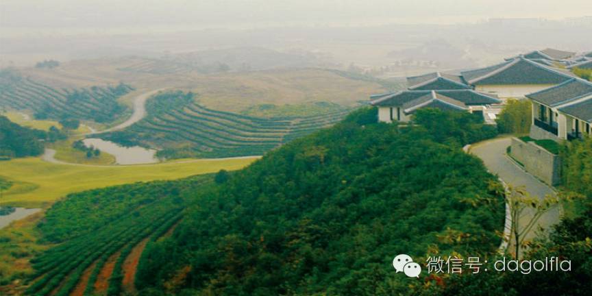 高尔夫优惠团购99元直播,国际高尔夫订场