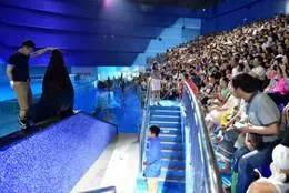 旅游景区收到游客投诉价格偏高,景区门票调价投诉