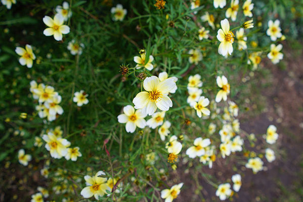 索尼fe24mmf2.8二手,索尼正式发布fe24-70mmf2