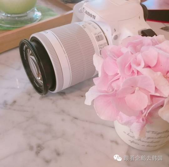 少女心大爆炸!首尔弘大这家Café好看得一塌糊涂