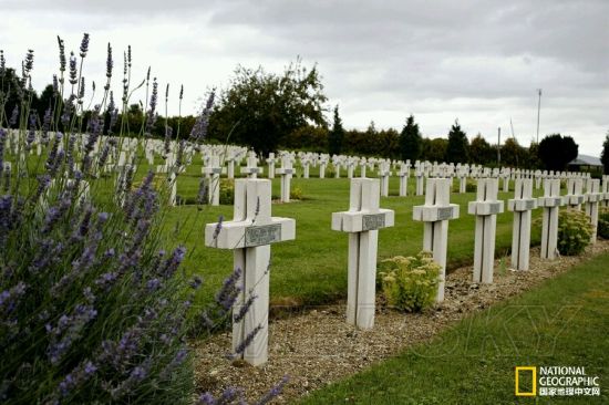 战地1有巨炮的是哪个地图,战地五地图原型