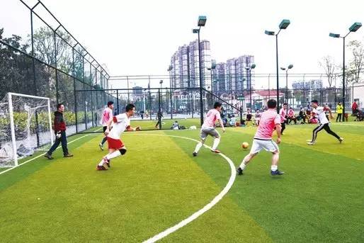 南充有多少免费足球场,南充哪有足球场