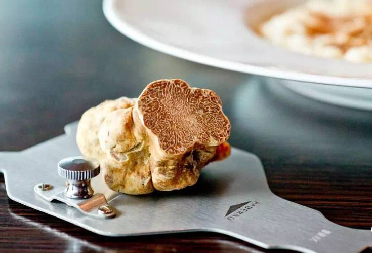 松露新口味,顶级松露的秘密