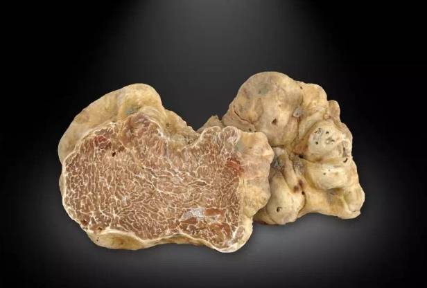 松露新口味,顶级松露的秘密