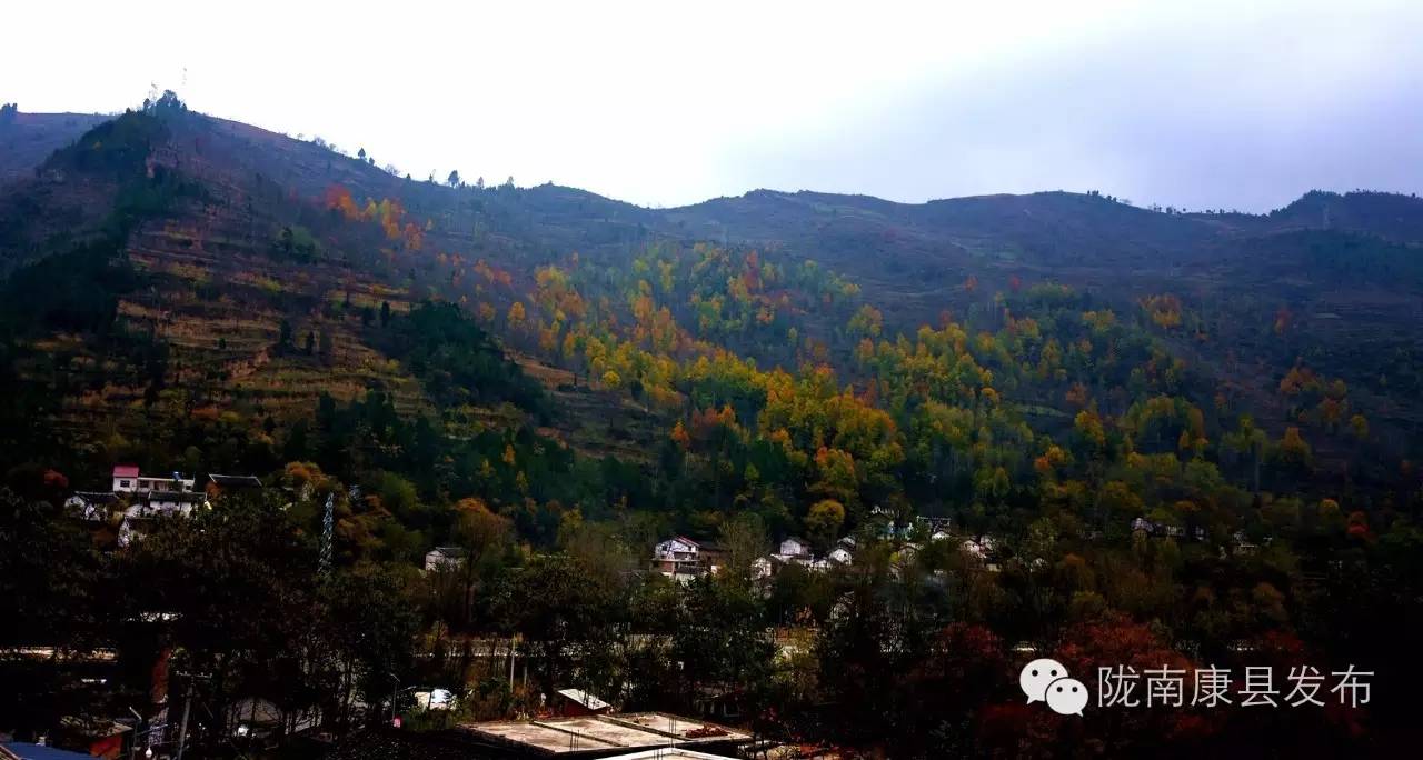 陇南康县杨湾村：团结桥上话幸福