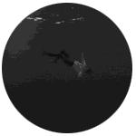 喝了这瓶水，你就能变成跟我们一样的人了！丨大家期待的《感染者》正式回归！32话更新！