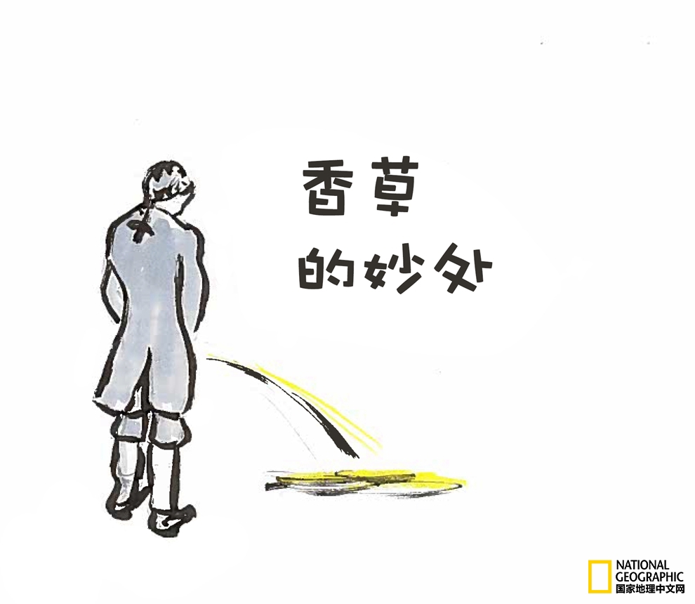 香草之岛留尼汪，上帝私藏在印度洋的小盆景！