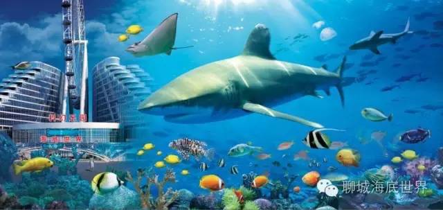 青荣烟威城际铁路开通,青威烟荣城际高铁