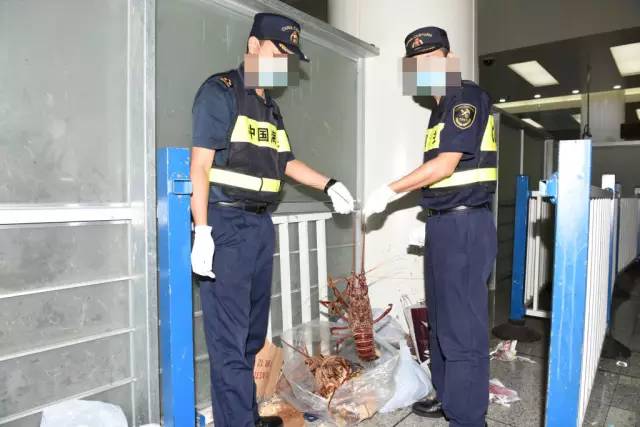 走进海关了解海关,福田口岸海关