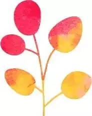 贵州有哪些著名的女明星,贵州最美丽的十大女明星