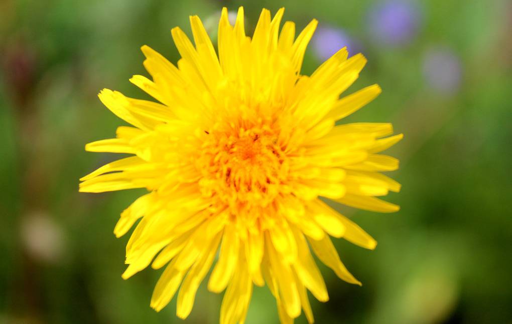 一个简单的动作解决健康问题,10个动作证明你健康