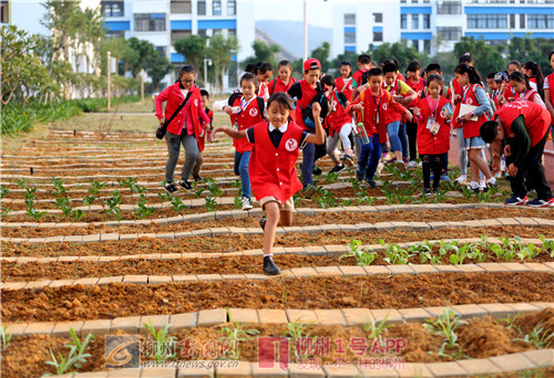 一路向北惊呆路人,一路向前柳云龙