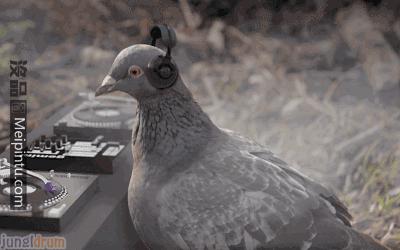 如果觉得国庆7天短,接下来你会知道7天有多长