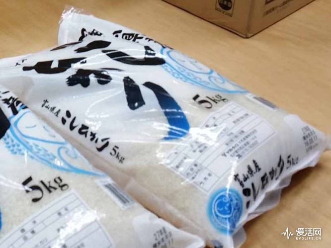 日本电饭煲测评排行,电饭煲哪个牌子的煮饭最好