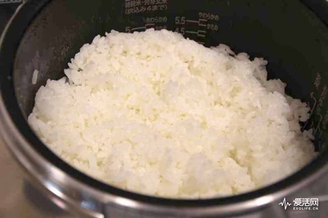 日本电饭煲测评排行,电饭煲哪个牌子的煮饭最好