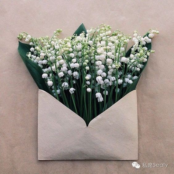 经期过后怎么才能瘦,怎样能在经期继续瘦