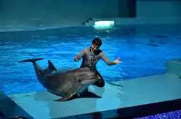 旅游景区收到游客投诉价格偏高,景区门票调价投诉